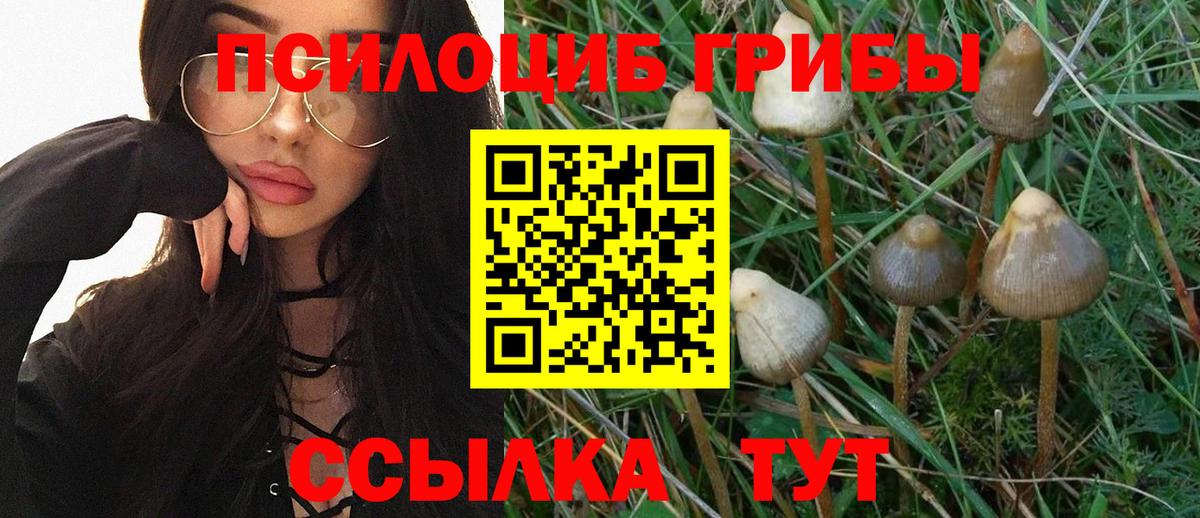 Галлюциногенные грибы мицелий Владикавказ