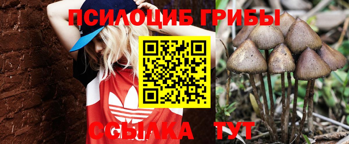 Псилоцибиновые грибы мухоморы  Псилоцибиновые грибы MAGIC MUSHROOMS  Вход с VPN  Владикавказ 